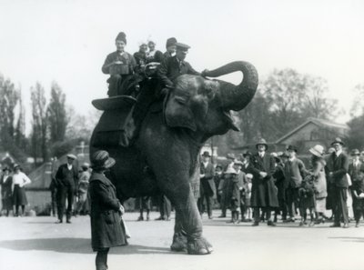 Armenian visitors ride Indiarani, watched by crowds of onlookers, London Zoo by Frederick William Bond